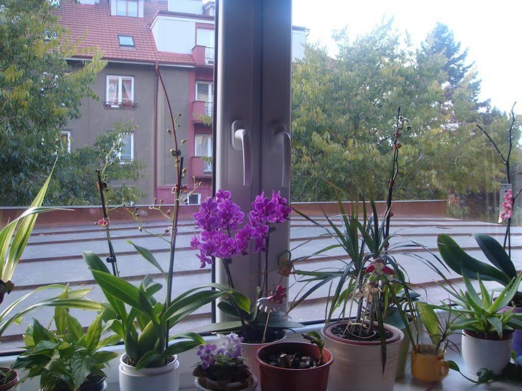 Minihotel Vitex Prague Exterior photo